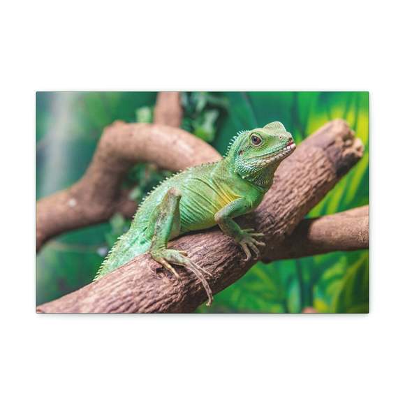 Majestic Water Dragon Art Majestic Water Dragon Print Animal Wall Art Wildlife C